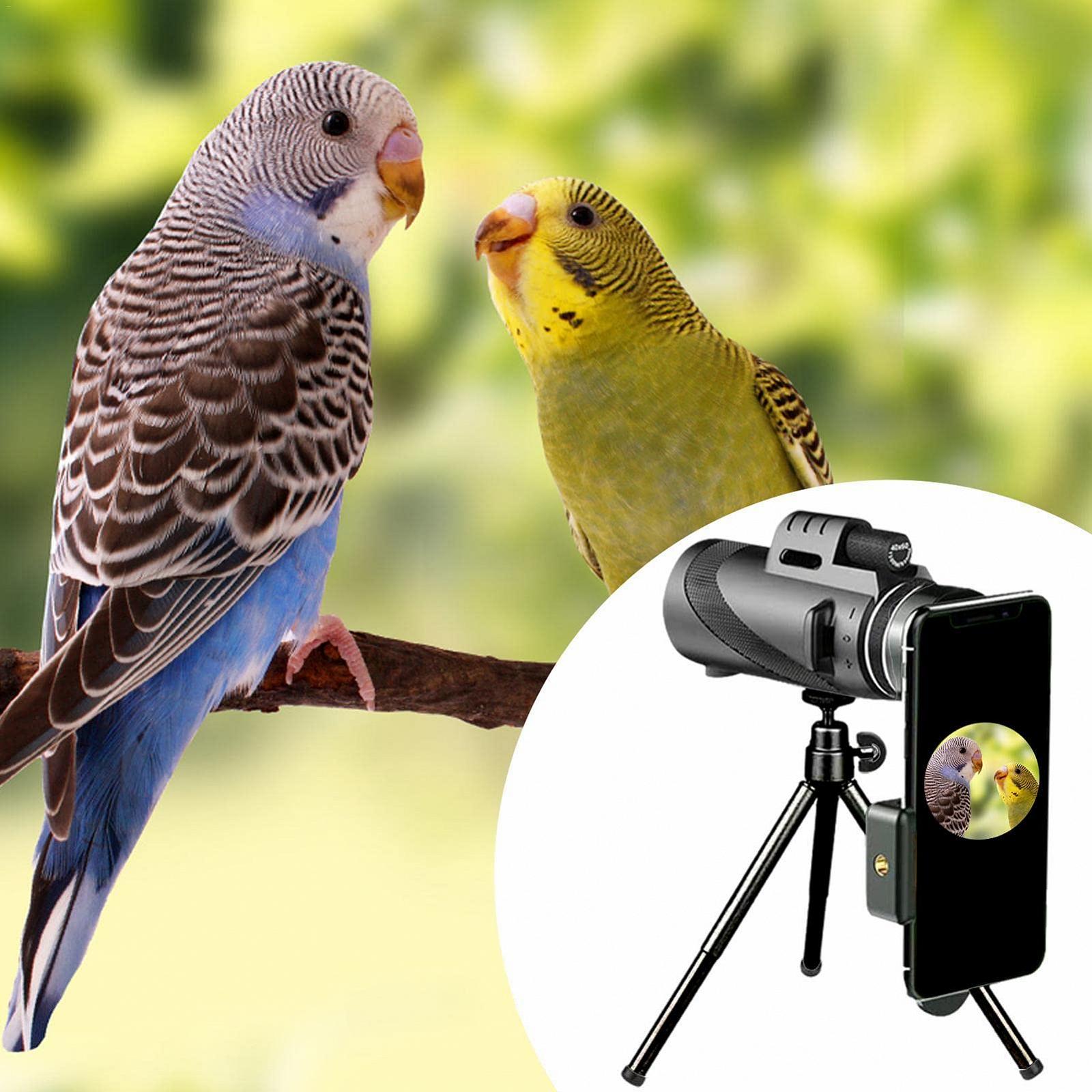 Монокуляр astound Telescope 80 x 100 Portable and Waterproof High Definition, фото №3
