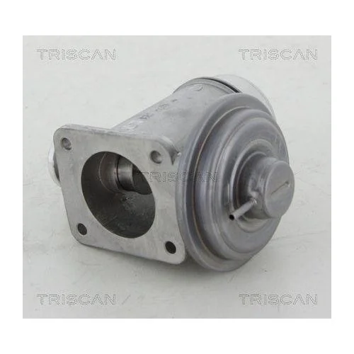 Клапан EGR TRISCAN 8813 11102 для BMW, фото №3