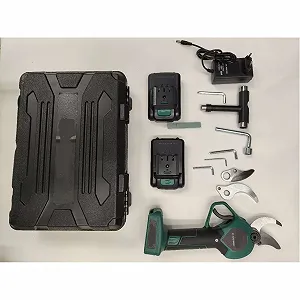 Сучкоріз акумуляторний ACXIN 3000 mAh 2 x 21 V synthetic.ua - Фото 1