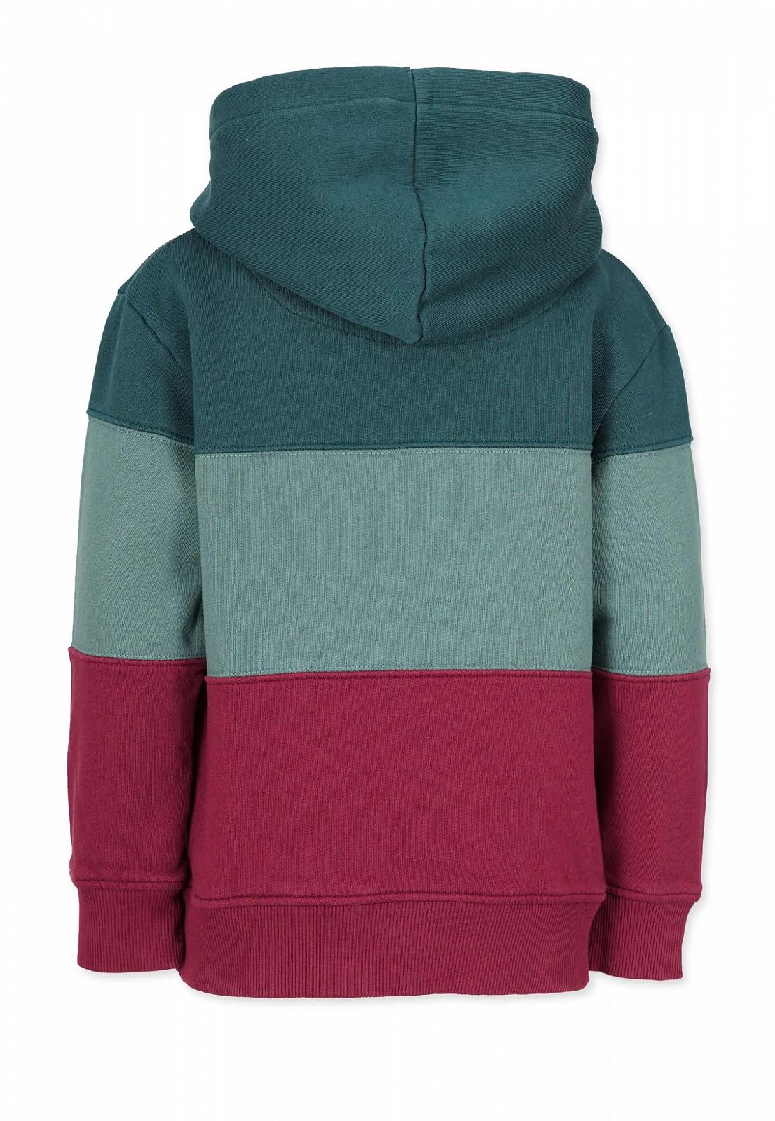 Толстовка з капюшоном Band of Rascals Children's 3C Block, фото №3