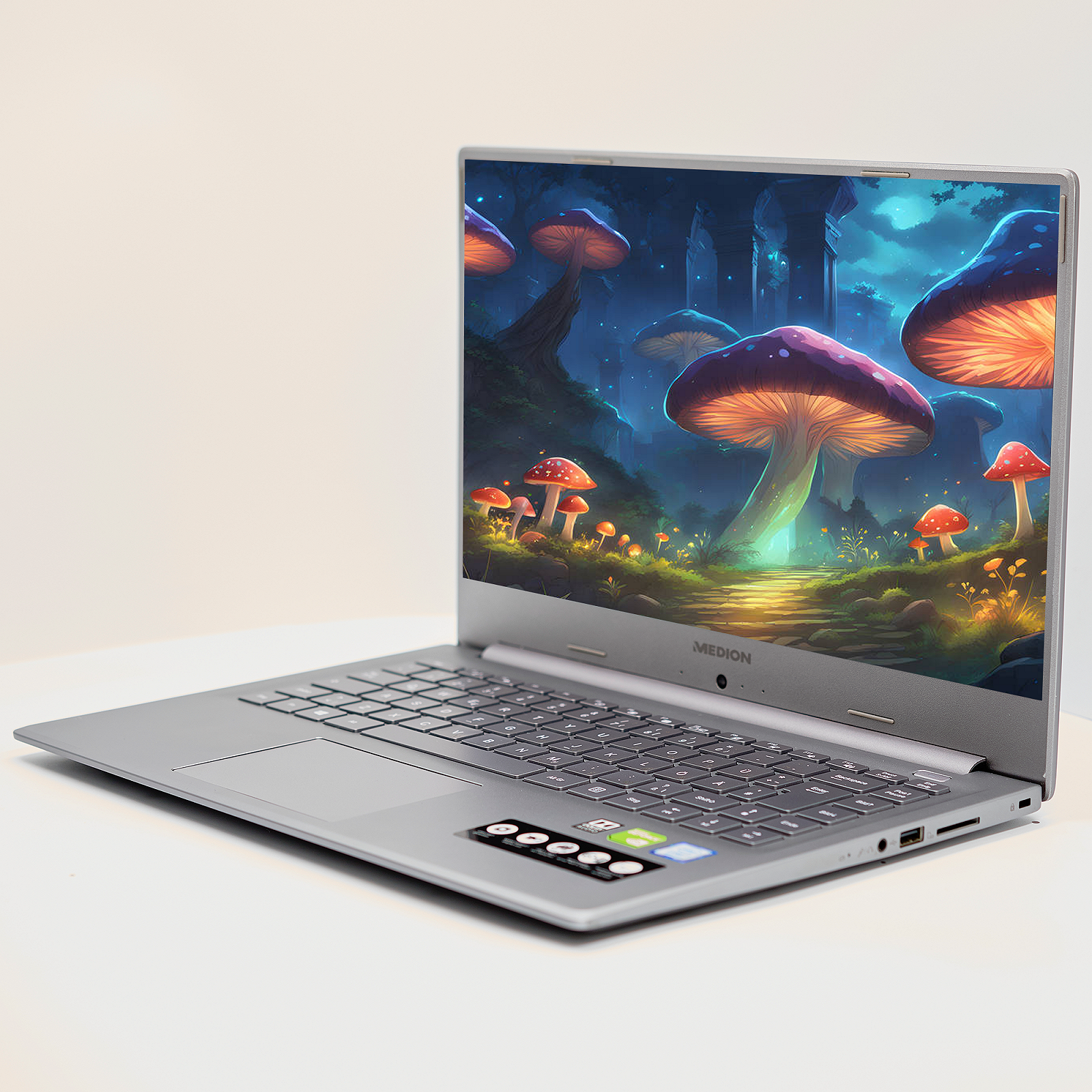 Ноутбук 15.6'' Medion (Lenovo Group) Akoya P15645 | Intel Core i7-8565U | IPS (1920x1080) FullHD | RAM 16 ГБ | SSD 256 ГБ | Nvidia GeForce MX250 | Intel UHD Graphics 620 | Металевий корпус | Win11 (4985), фото №3