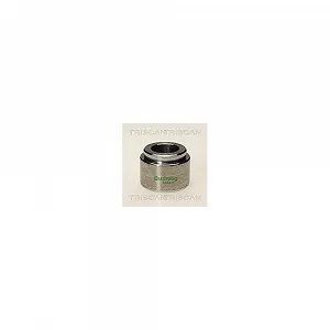 Поршень тормозного суппорта TRISCAN 8170 234003 - Фото 1