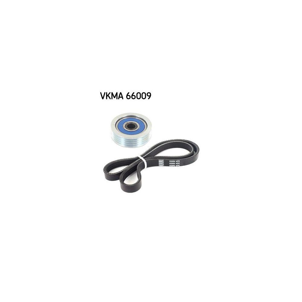 Комплект поликлинового ремня SKF VKMA 66009 для ALFA ROMEO BMW DAIHATSU FIAT HONDA SMART, фото №1