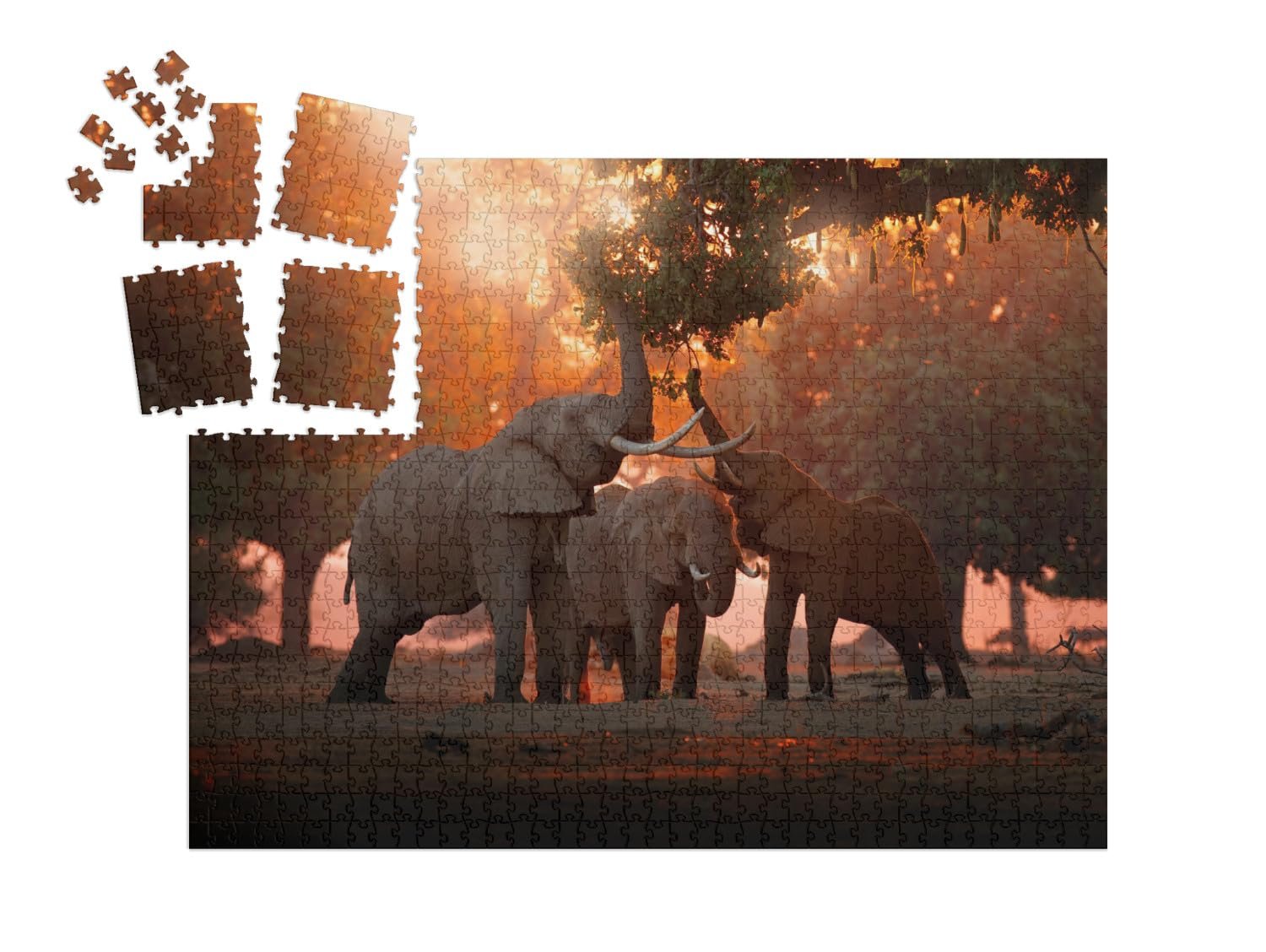 Пазл-адвент-календарь puzzleYOU Elephant Eating in Mana Pools National Park, Zimbabwe 1000 деталей, фото №2