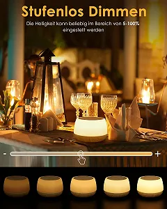 Настільна лампа LED 20 Вт Touch Dimmable 9 кольорів 3 режими Wood Grain synthetic.ua - Фото 1