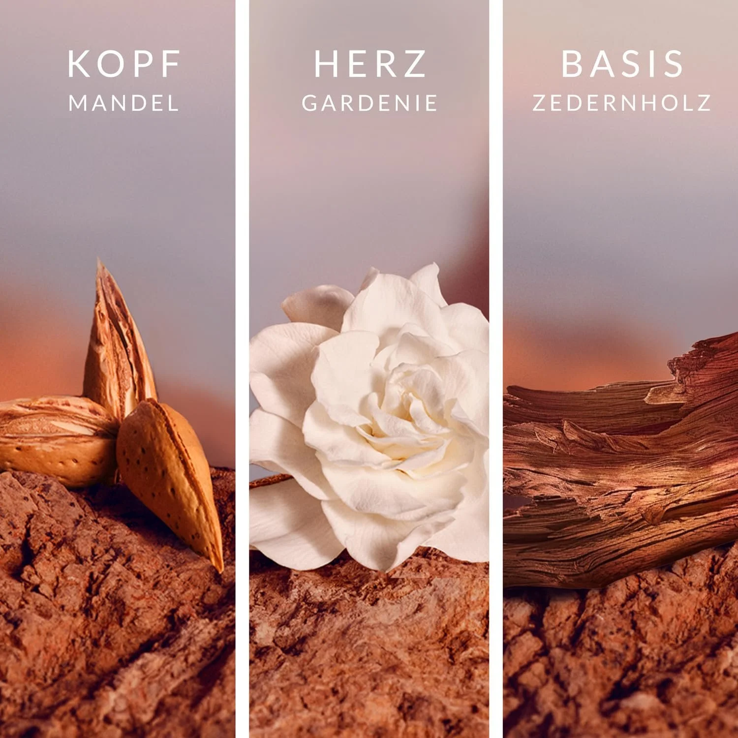 Парфумована вода LeGer Signature з мигдалем, кедровим деревом і мускусом, фото №4