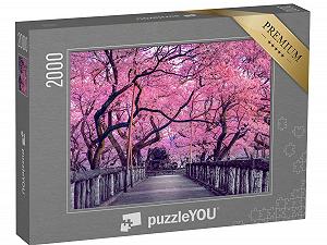 Пазл puzzleYOU Tokyo Jigsaw Puzzle Collection, Cities Worldwide Beautiful Cherry Blossom Over An Old Wooden Bridge, Japan 2000 элементов - Фото 1