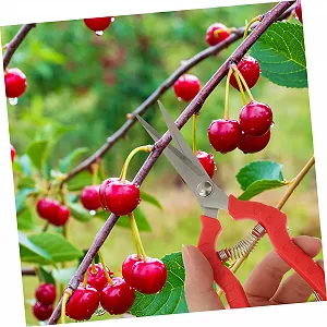 Набір садових секаторів Happyyami 3 шт. нержавіюча сталь Red synthetic.ua - Фото 1