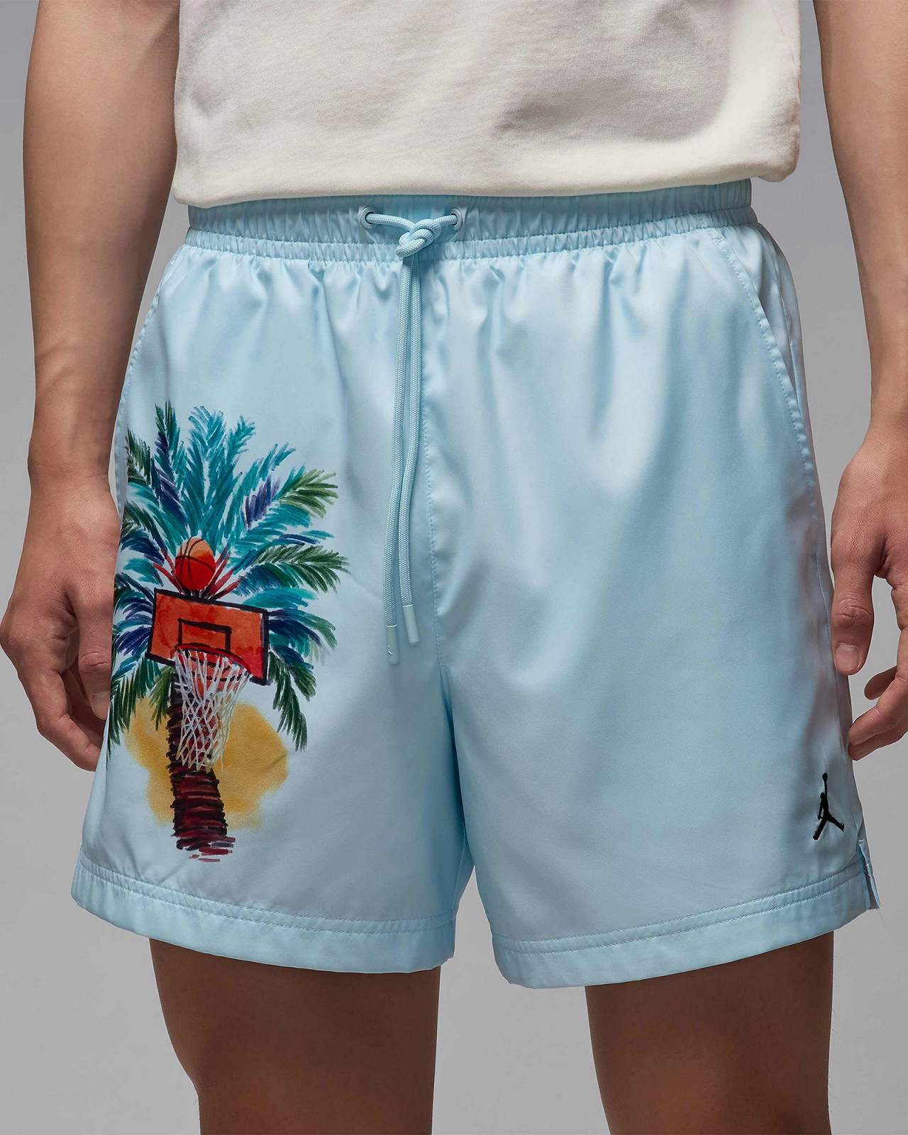 Мужские шорты Jordan Essentials Shorts L, фото №1