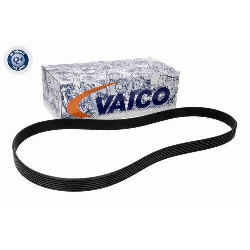 Поликлиновой ремень VAICO Q+ V24-1209, фото №2 Поликлиновой ремень VAICO Q+ V24-1209, фото №2