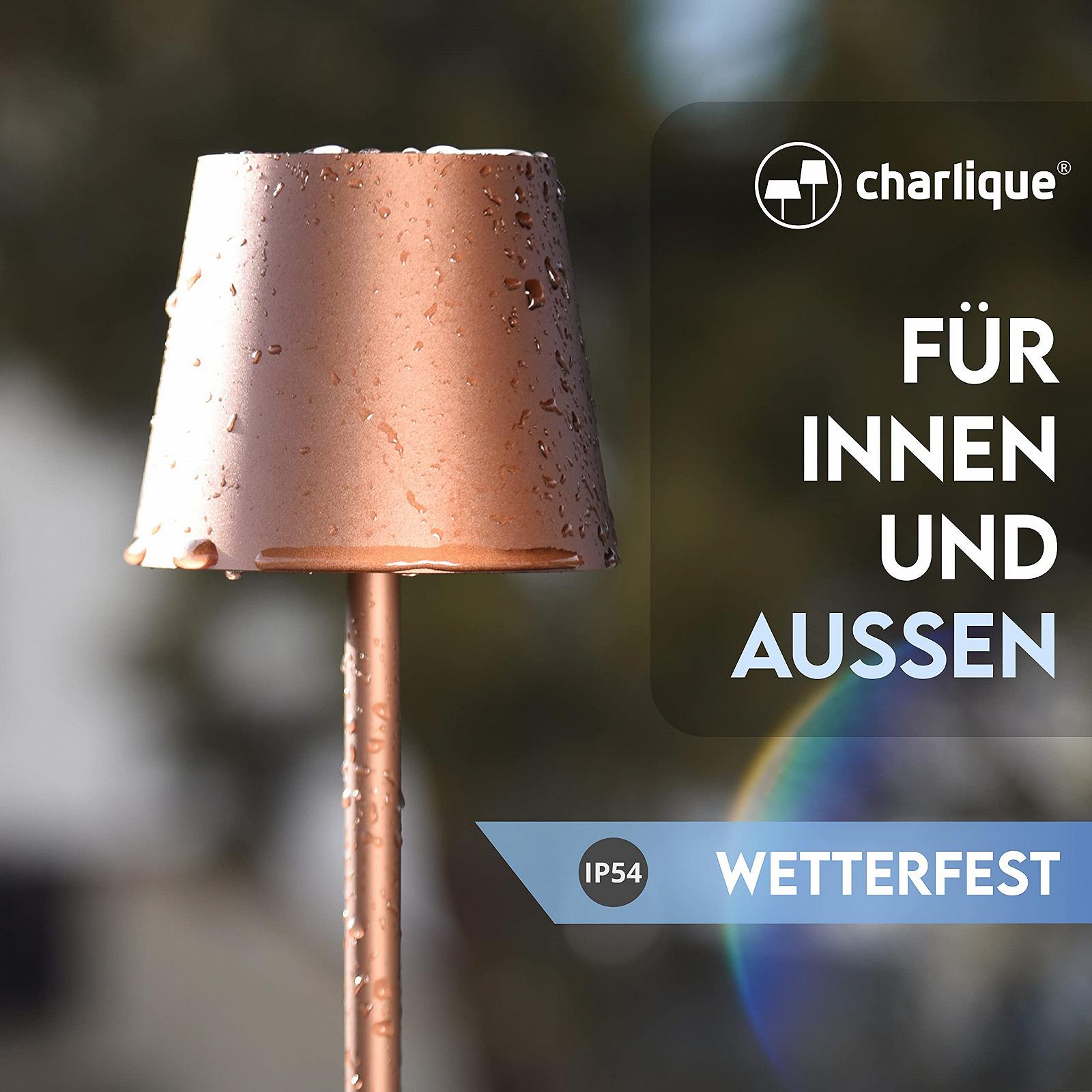 Світлодіодна настільна лампа з акумулятором та USB-зарядкою регульована яскравість, фото №5