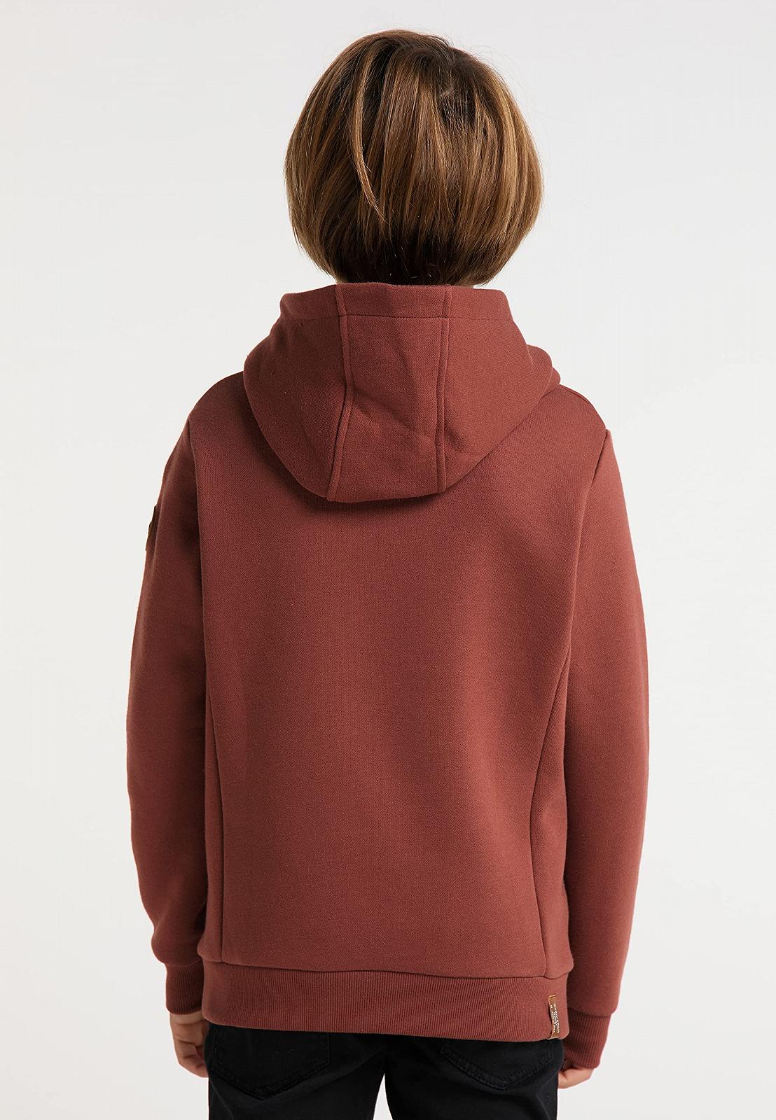 Толстовка Ragwear Esam для хлопчиків, фото №3