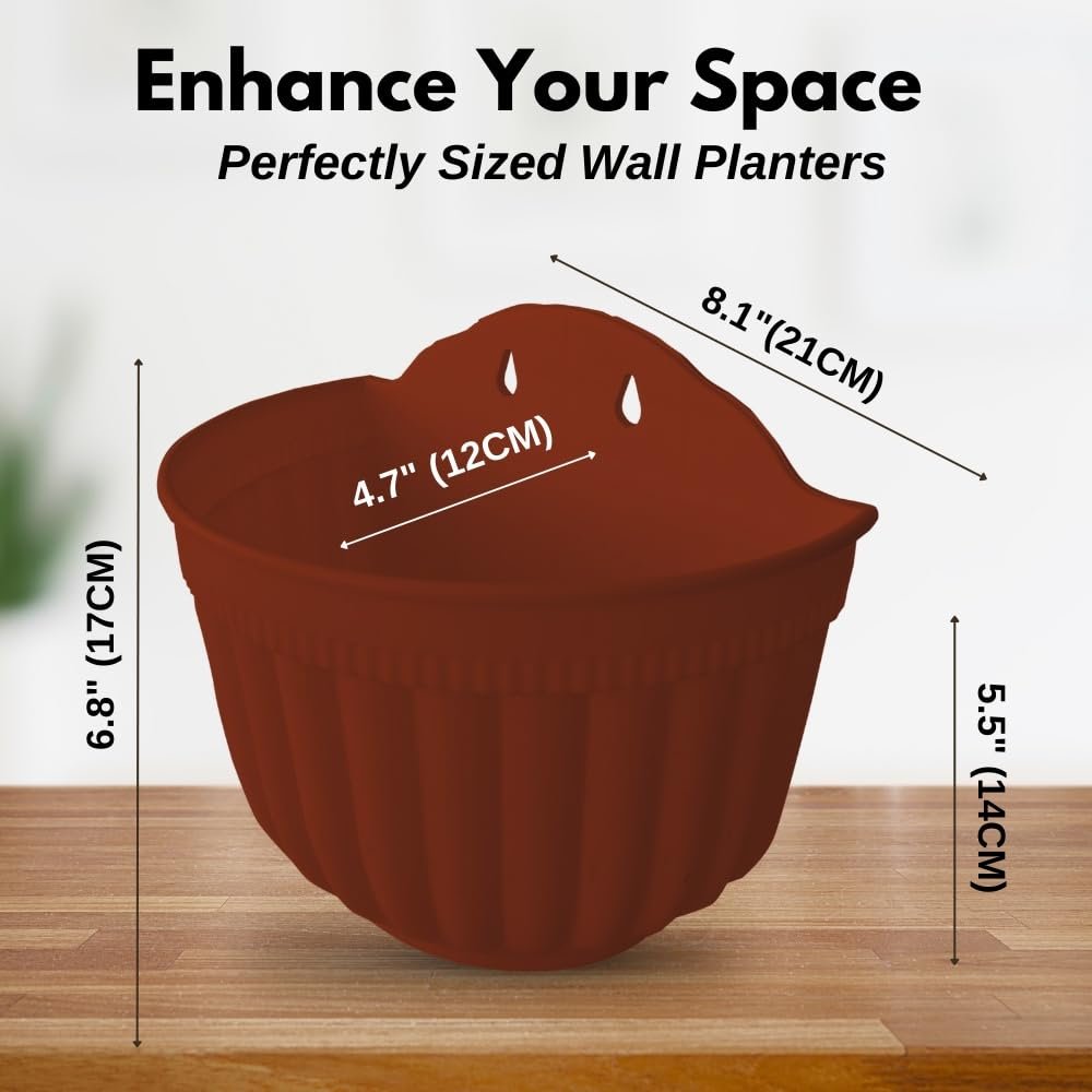Настінні горщики з автополивом ShoppeWatch PL62 8 шт. теракотовий коричневий, фото №3 Настінні горщики з автополивом ShoppeWatch PL62 8 шт. теракотовий коричневий, фото №3