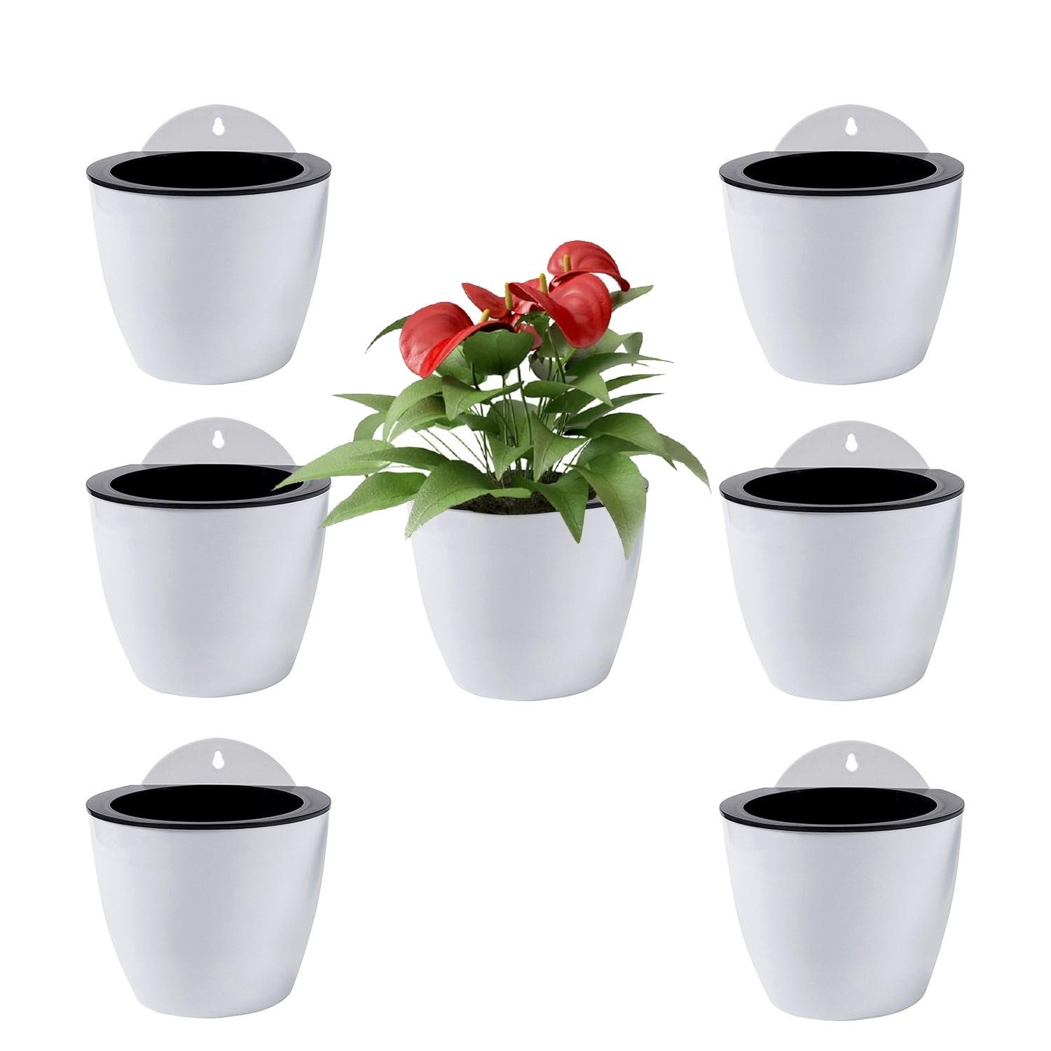 Підвісний настінний горщик ShoppeWatch PL34 З автополивом 5" 7 шт., фото №1 Підвісний настінний горщик ShoppeWatch PL34 З автополивом 5" 7 шт., фото №1