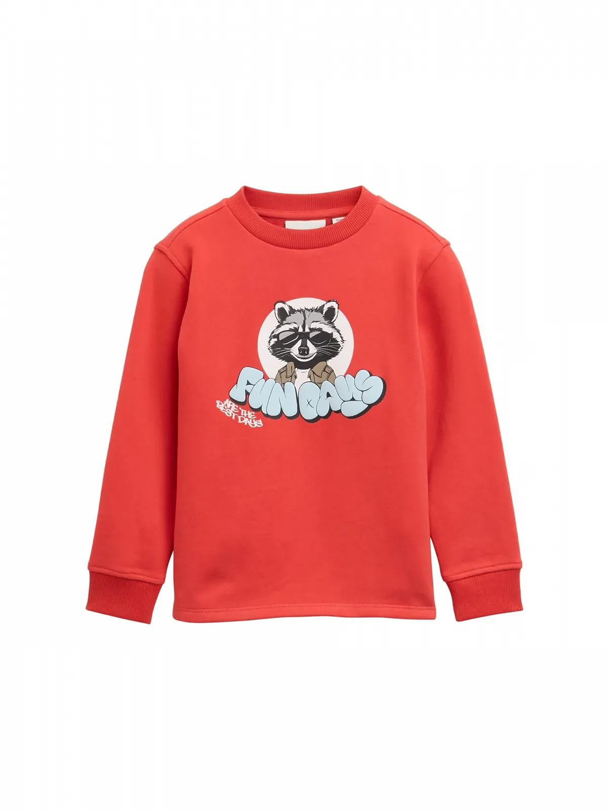 Толстовка TOM TAILOR для мальчиков, фото №1