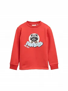 Толстовка TOM TAILOR для хлопчиків - Фото 1