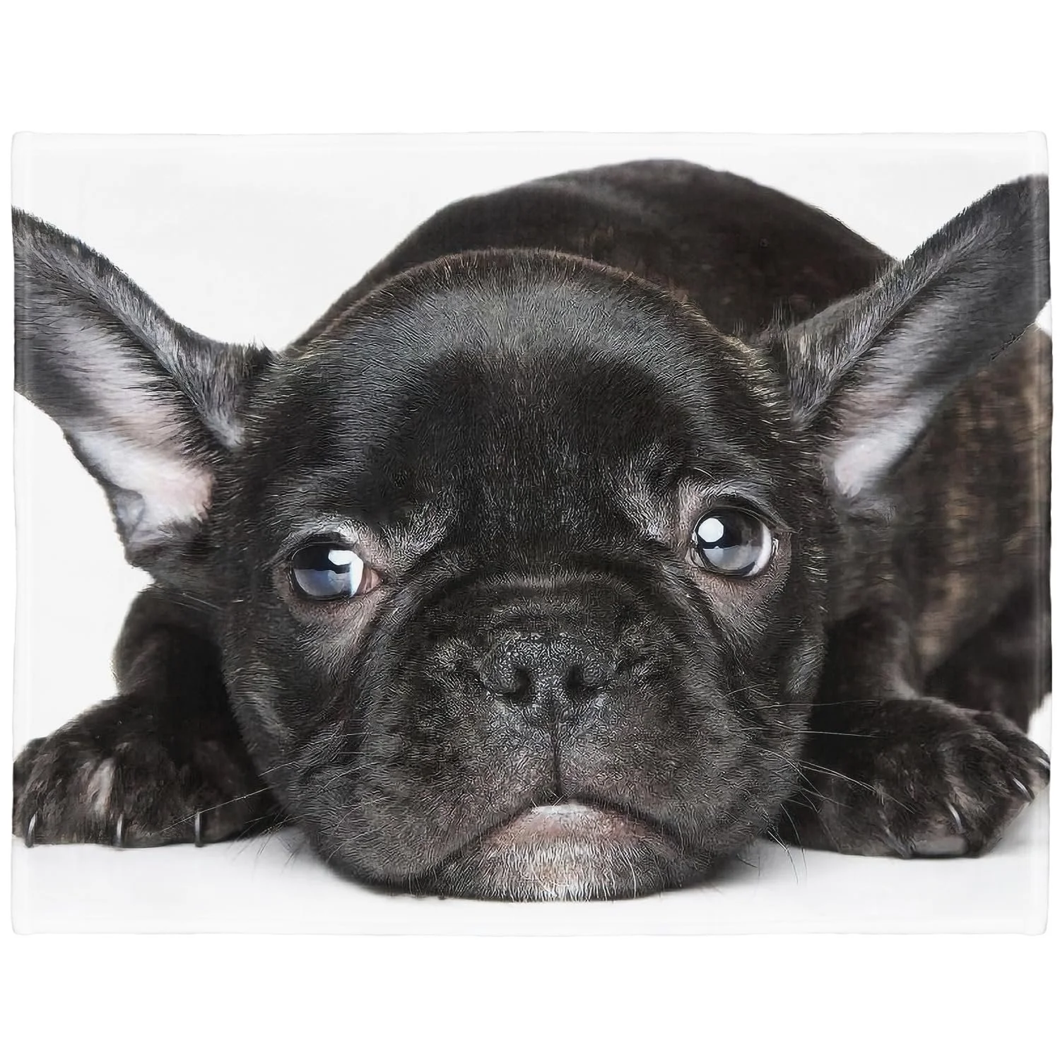 Одеяло YISUMEI 125 x 200 см Мягкое Фланелевое Одеяло на Кровать Черный Французский Бульдог, фото №1 Одеяло YISUMEI 125 x 200 см Мягкое Фланелевое Одеяло на Кровать Черный Французский Бульдог, фото №1