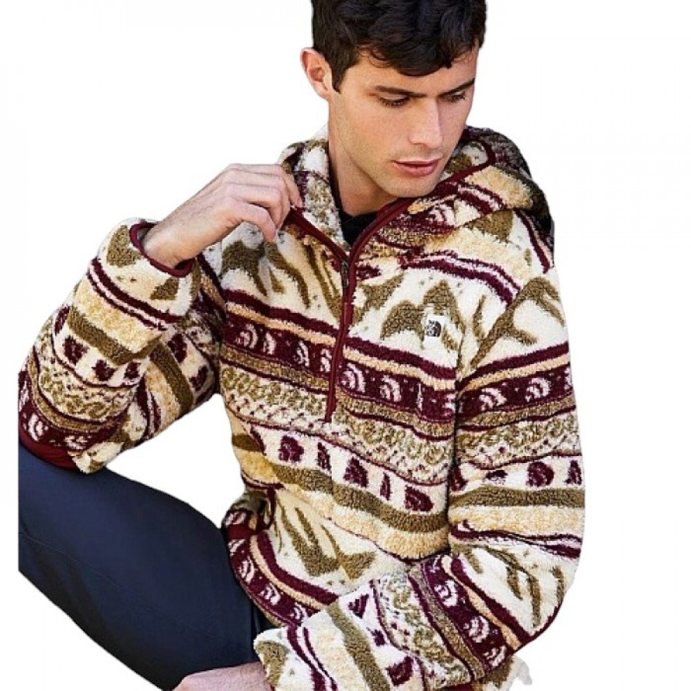 Джемпер THE NORTH FACEen's Printed Campshire Pullover Hoodie L, фото №1