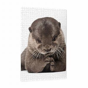 Пазл Cute Otter 1000 элементов для взрослых и детей synthetic.ua - Фото 1
