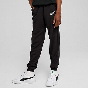 Штаны Puma ESS No. 1 Logo Sweatpants TR 68491401 Черный XL - Фото 1