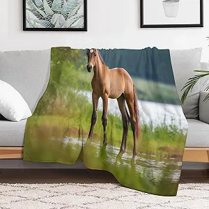 Покривало Чотири сезони Плед Теплий Плед для дивана/ліжка Фланель М'який і пухнастий флісовий плед (100 x 130 см) synthetic.ua - Фото 1