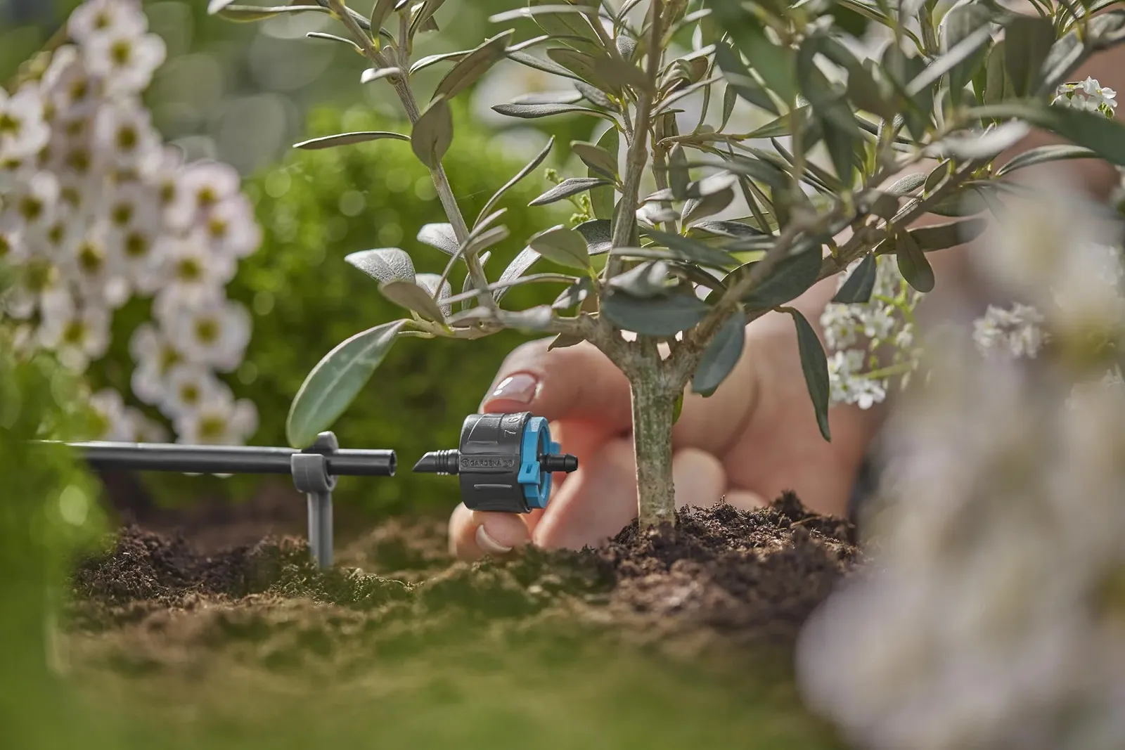 Кінцева крапельниця Gardena Micro-Drip System 13304-20 регульована з компенсацією тиску, фото №6