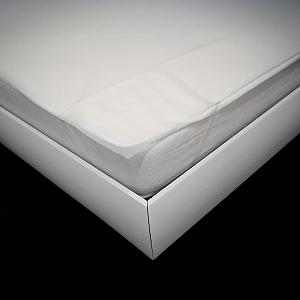 Наматрасник Водонепроницаемый одноразовый эластичный douceur d'intérieur Jessy 160 x 200 см Белый, 2 шт synthetic.ua - Фото 1