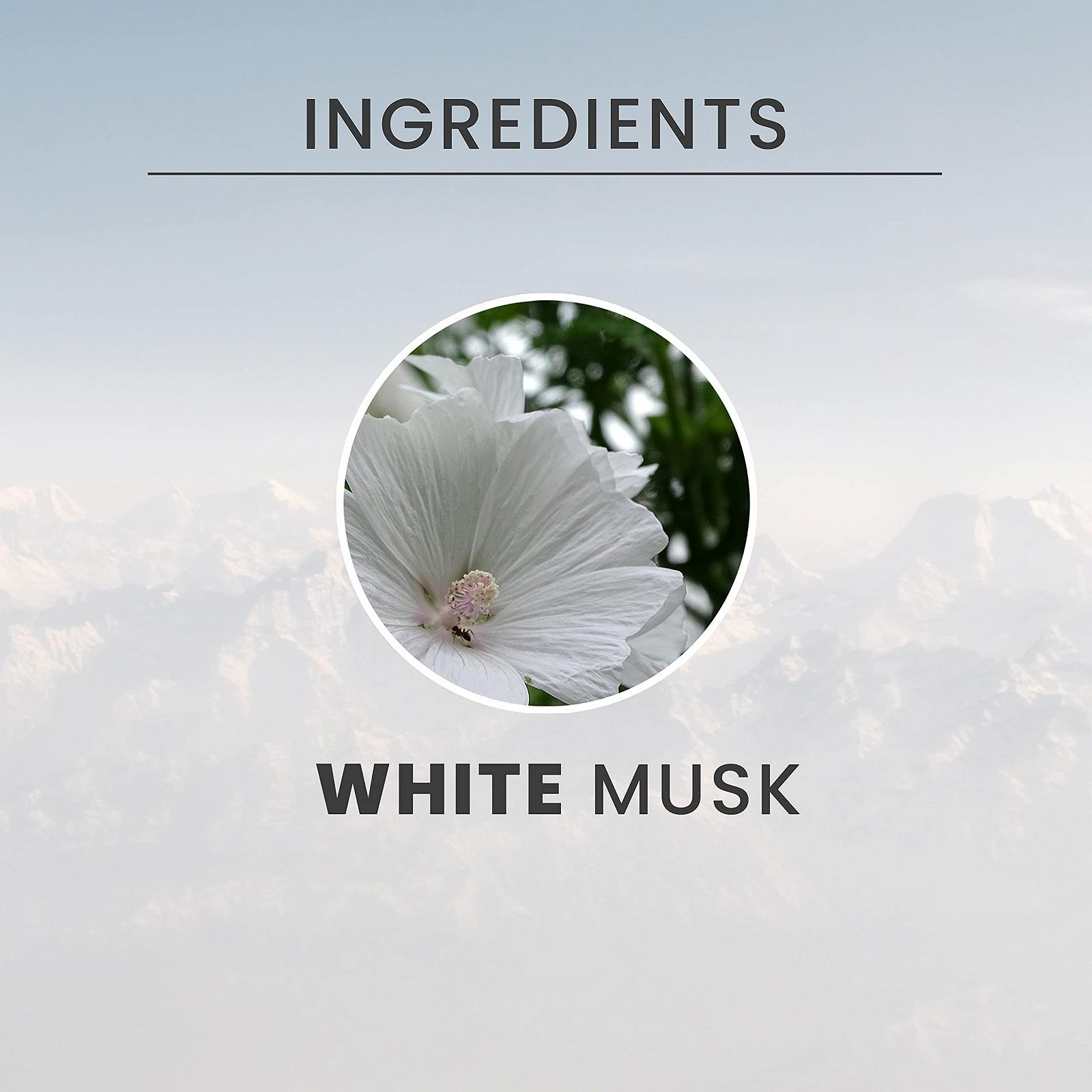 Туалетная вода Tesori d'Oriente White Musk 100 мл, фото №3