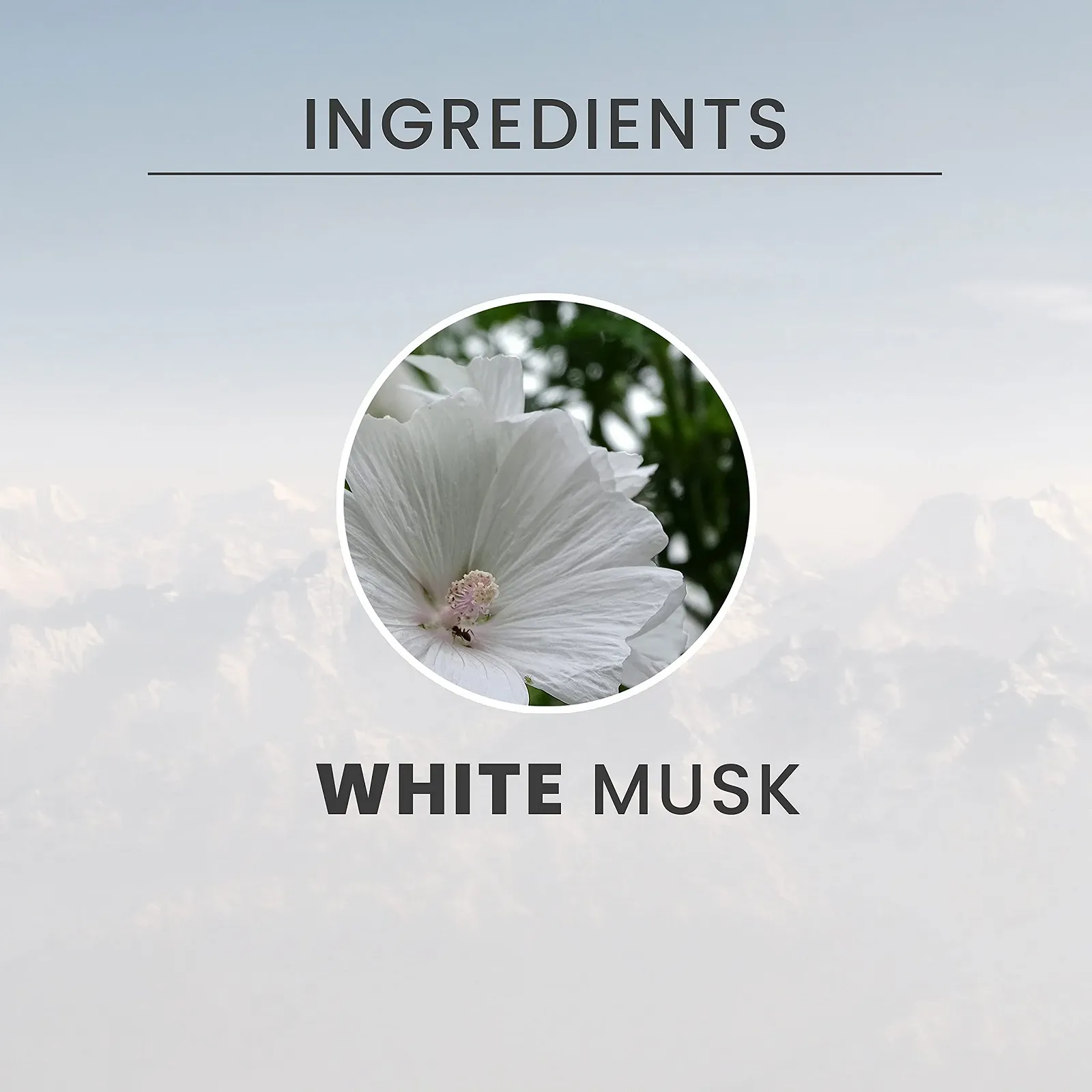 Туалетна вода Tesori d'Oriente White Musk 100 мл, фото №3