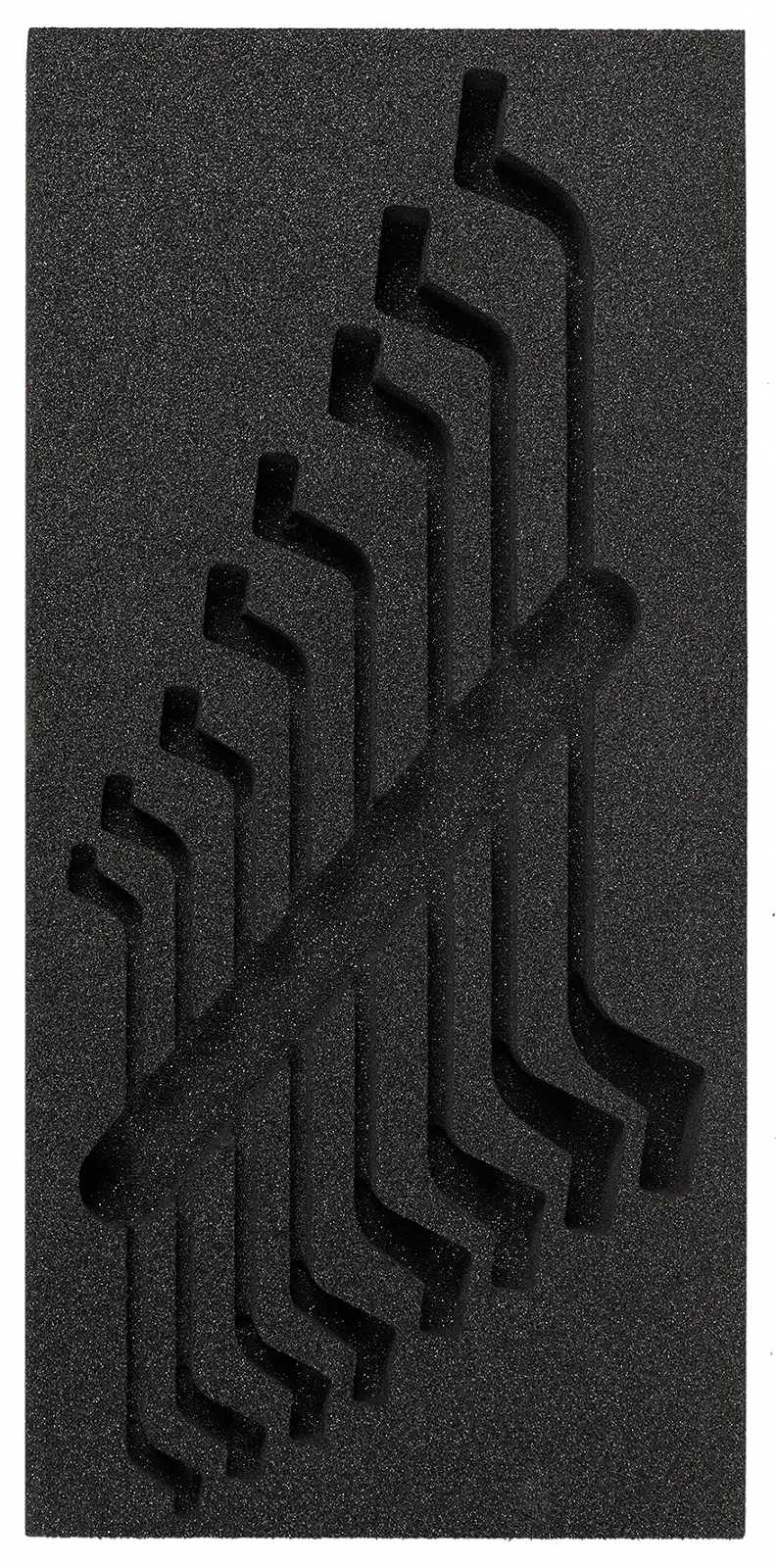 SW-STAHL Z3013-EINLAGE6 Ложемент, порожній, для Z3013-6, фото №1