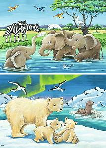 Пазл Ravensburger Животные со всего мира 05095 2 x 12 элементов synthetic.ua - Фото 1