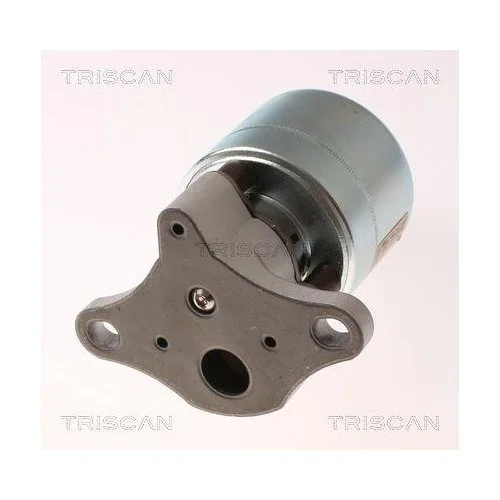 Клапан EGR TRISCAN 8813 21026 для CHEVROLET DAEWOO, фото №3