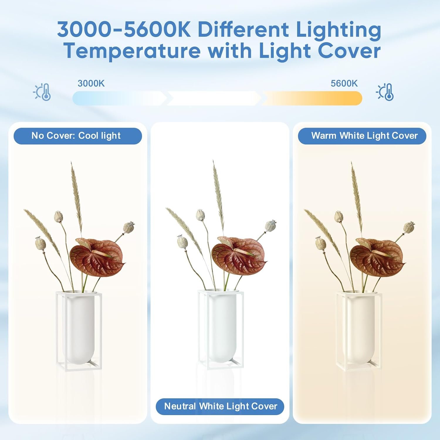 Фотобокс PaNt 60 см / 3000-5600K / CRI 95 / 6 фонів / Чорний, фото №3 Фотобокс PaNt 60 см / 3000-5600K / CRI 95 / 6 фонів / Чорний, фото №3