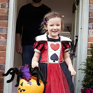 Заколка для волос Паук Halloween Плюшевый Черный цена на synthetic.ua - Фото 1 Заколка для волос Паук Halloween Плюшевый Черный synthetic.ua - Фото 1