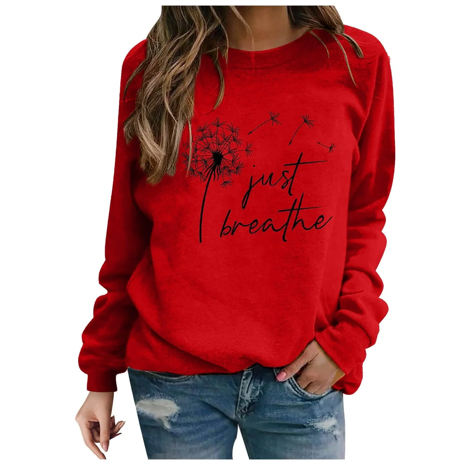 Женский пуловер NZYIHAO с принтом, свитшот, повседневный, с длинными рукавами, с круглым вырезом, больших размеров, рубашка, свободный джемпер, легкая туника, топы на подкладке, удобная длинная рубашка, женский джемпер, фото №1