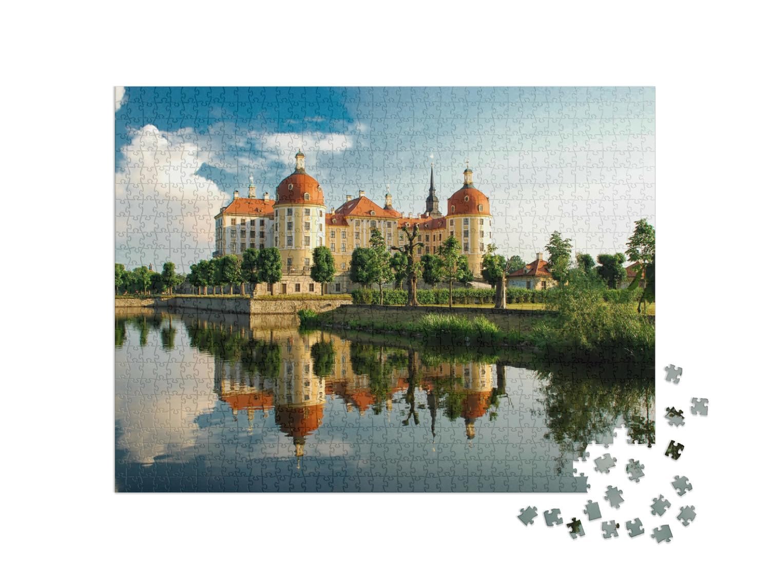 Пазл puzzleYOU Germany Collection Саксония, Замок Морицбург 1000 элементов, фото №2