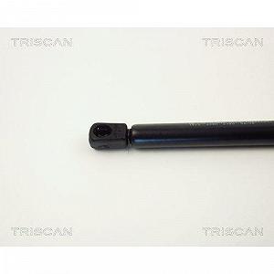 Газлифт багажника TRISCAN 8710 1610 для FORD synthetic.ua - Фото 1