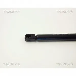 Газліфт багажника TRISCAN 8710 1610 для FORD synthetic.ua - Фото 1