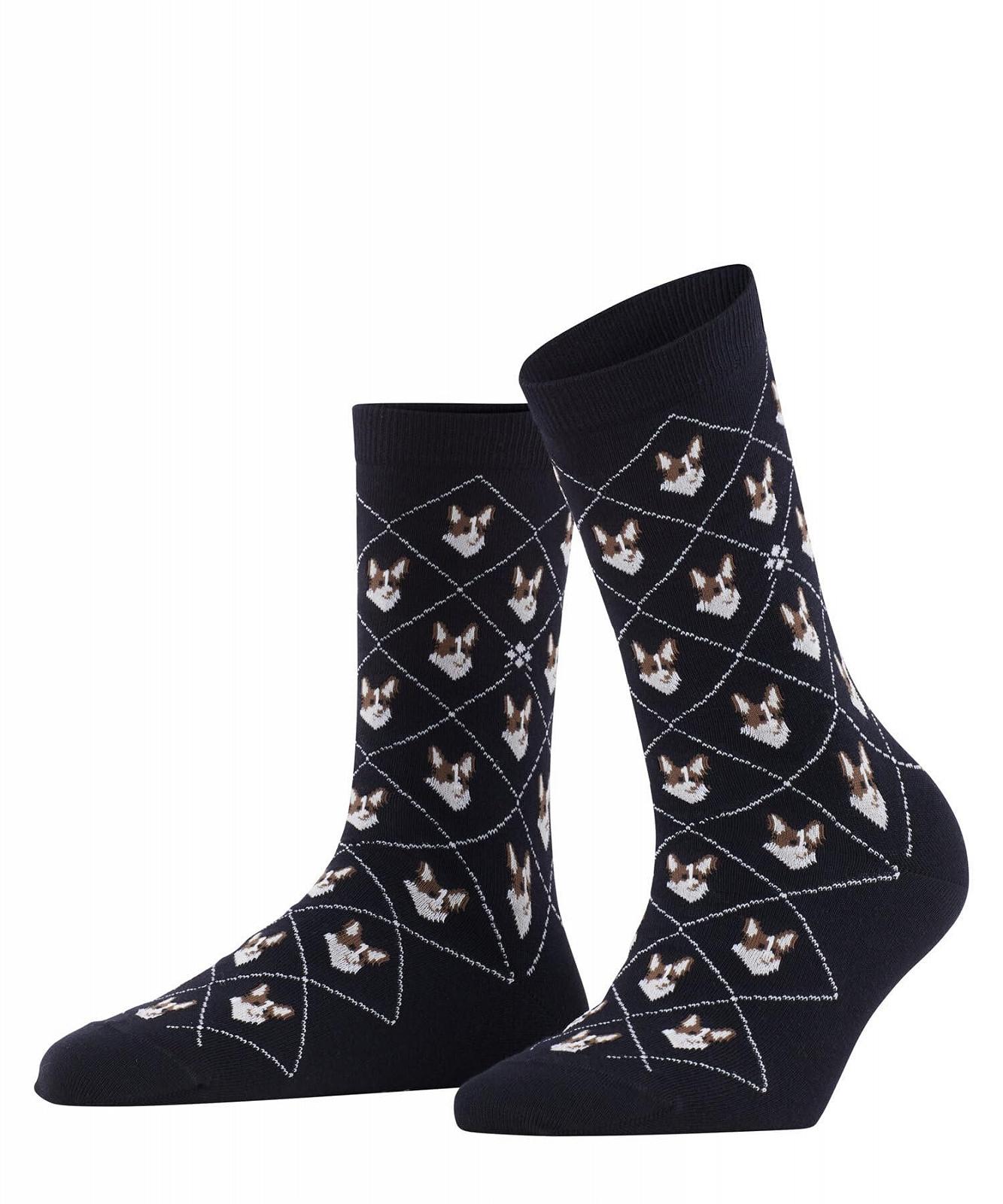 Носки Burlington Corgi Хлопок Opaque (Органический), фото №1