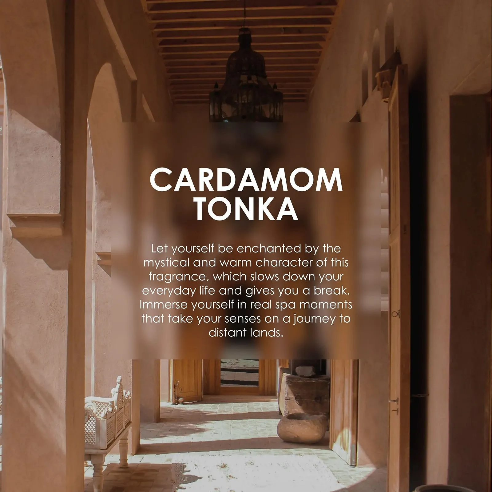 Туалетна вода Jean & Len Cardamom & Tonka Міні-парфум 10 мл, фото №6 Туалетна вода Jean & Len Cardamom & Tonka Міні-парфум 10 мл, фото №6