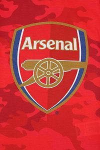 Комплект піжами Шорти Arsenal Football Club Camouflage для хлопчиків synthetic.ua - Фото 1