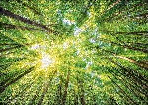 Пазл Ulmer Puzzleschmiede Light and Shadow 1000 деталей synthetic.ua - Фото 1