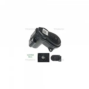 Исполнительный элемент, тормозной суппорт стояночного тормоза TRISCAN 8170 208020 - Фото 1