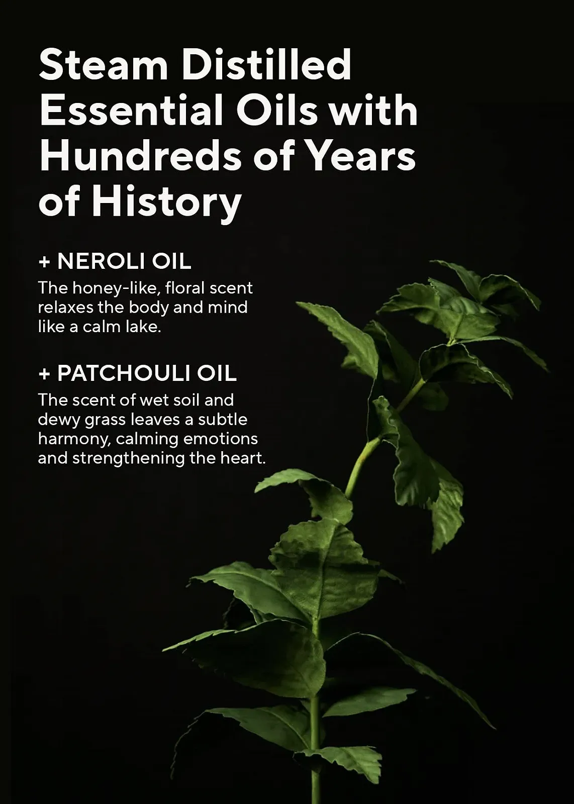 Лосьйон для тіла Neroli & Patchouli Embrace, фото №4