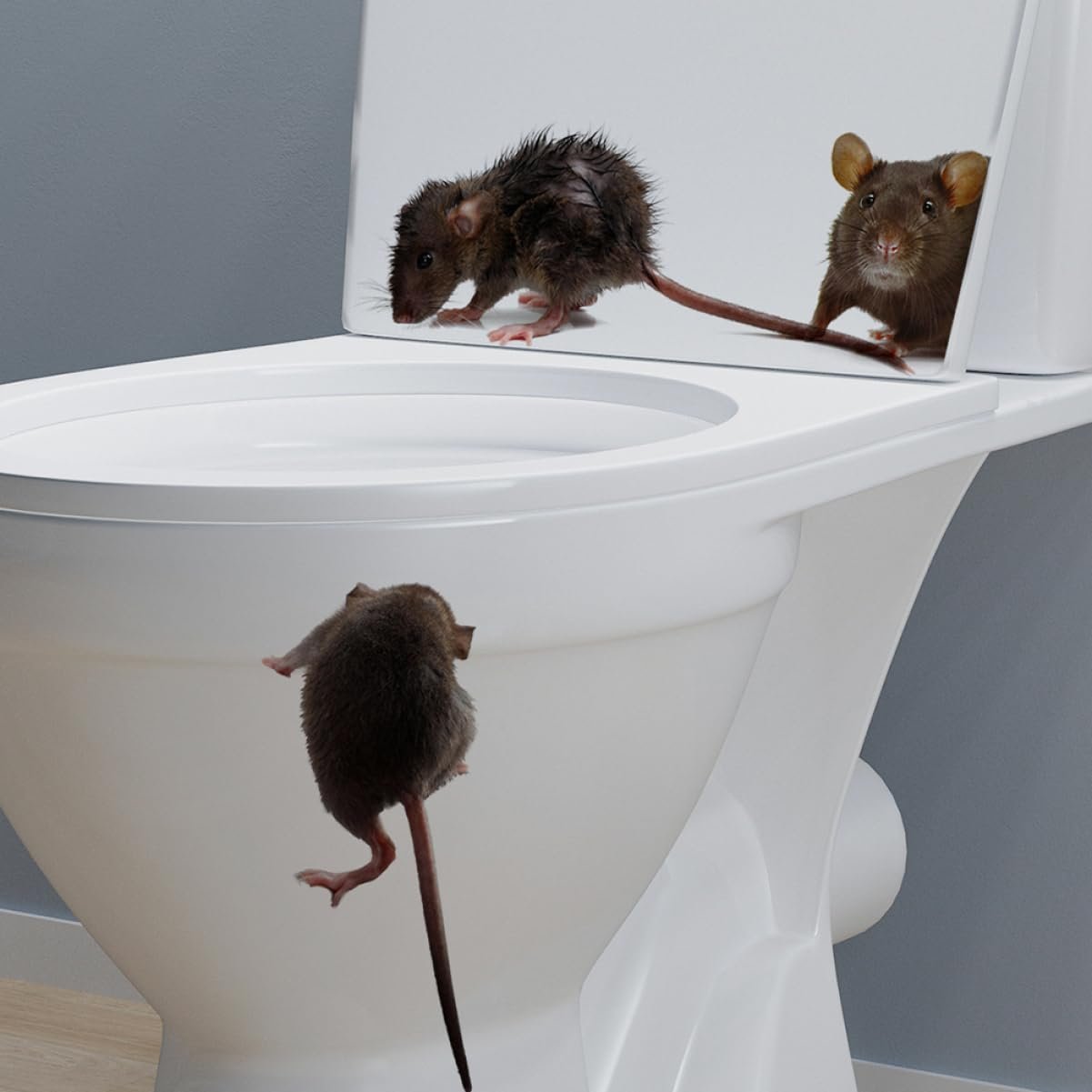 Наклейка на стіну Миша ПВХ Двостороння клейка стрічка, фото №2 Наклейка на стіну Миша ПВХ Двостороння клейка стрічка, фото №2