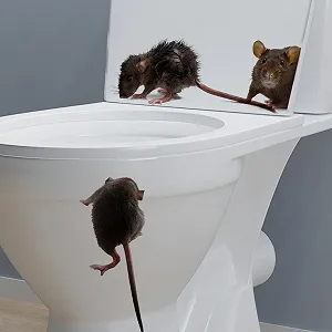 Наклейка на стіну Миша ПВХ Двостороння клейка стрічка synthetic.ua - Фото 1