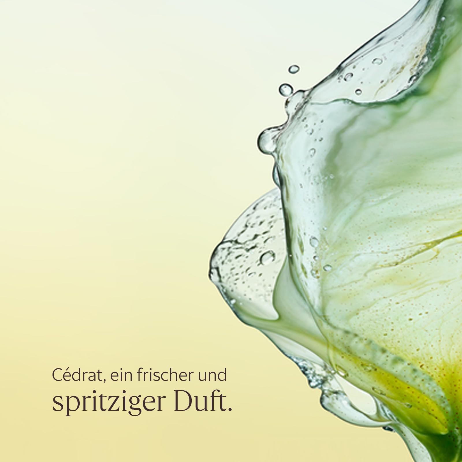 Гель для душа L'OCCITANE Cédrat, 250 мл, фото №3