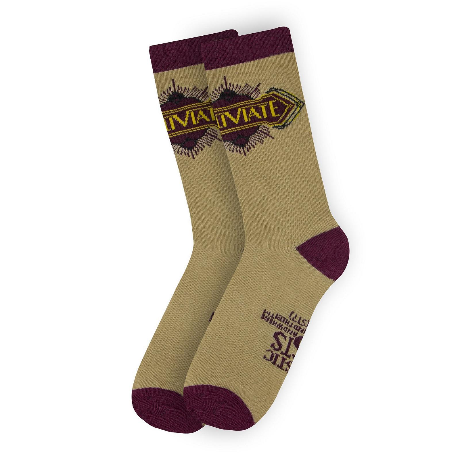 Носки Harry Potter Fantastic Beasts Macusa Комплект из 3 Разноцветный 36-40, фото №4