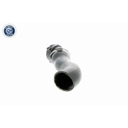 Шланг інтеркулера VAICO V20-1620 Q+ BMW, фото №4