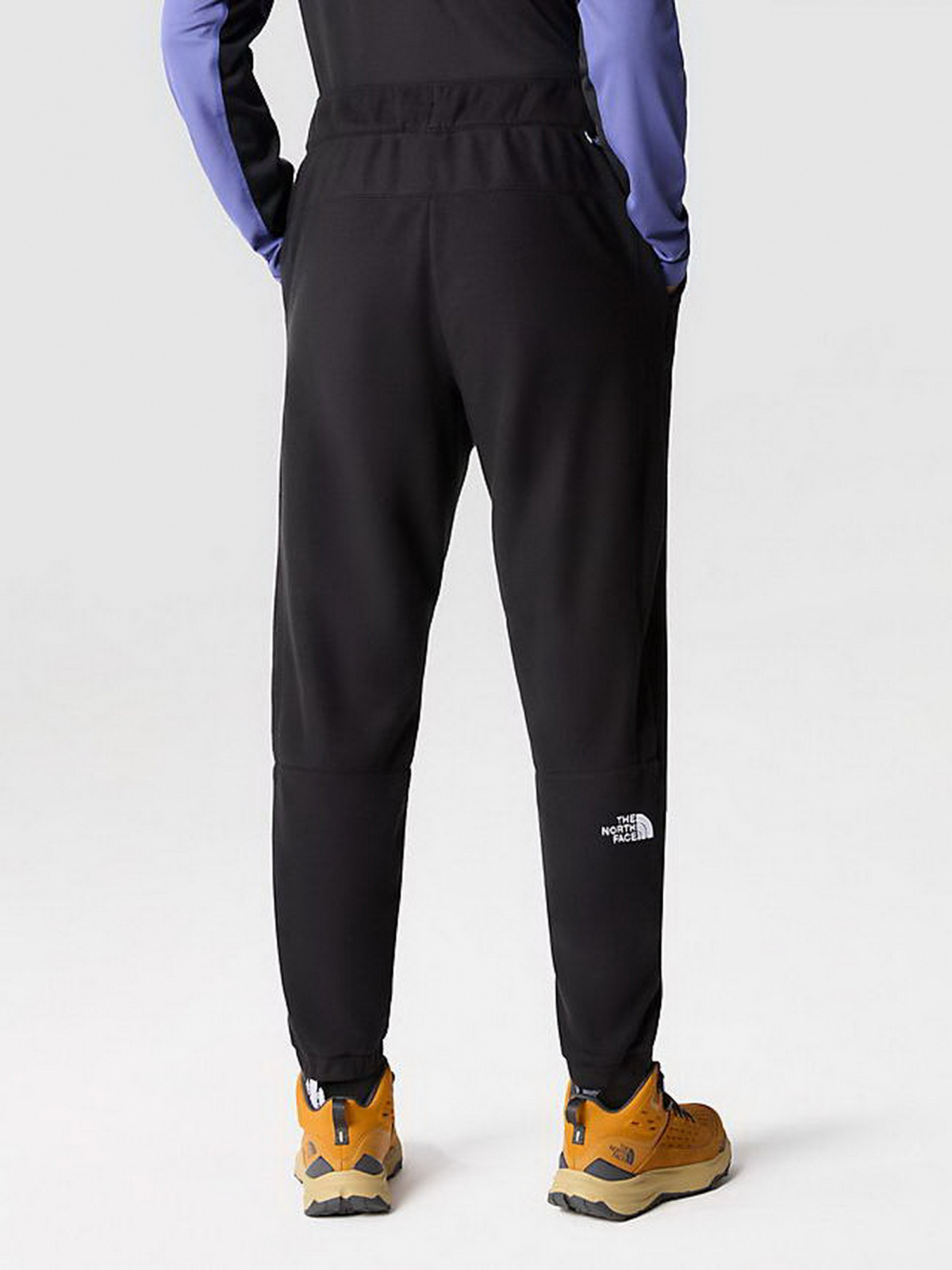 Штаны THE NORTH FACE GLACIER PANT M 100 Черный XL, фото №3
